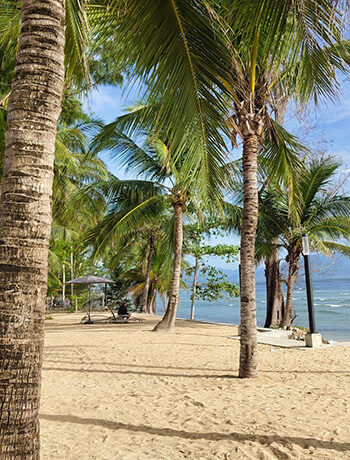 Beachfront 1